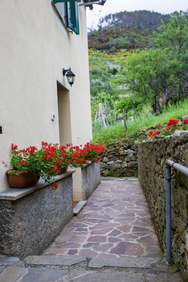 Casa Vacanze Tra Le Mura Levanto Exteriör bild