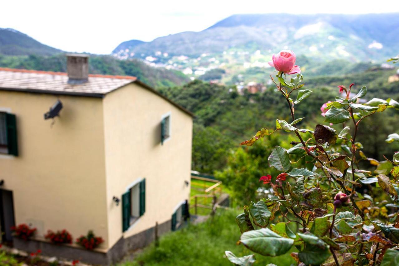 Casa Vacanze Tra Le Mura Levanto Exteriör bild